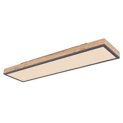 Globo - LED Plafon ściemnialny LED/24W/230V 2700-6500K + zdalne sterowanie