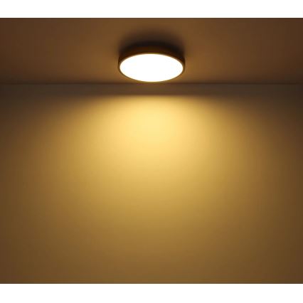 Globo - LED Plafon ściemnialny LED/40W/230V 2700-6500K śr. 60 cm + pilot zdalnego sterowania brązowy/szary