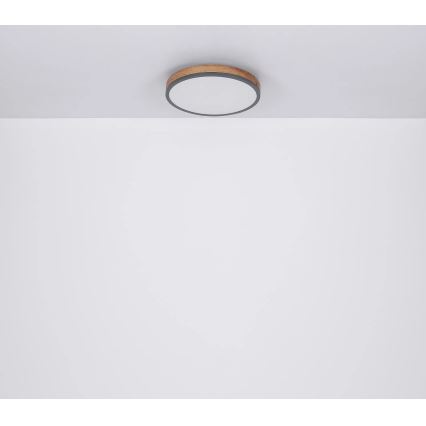 Globo - LED Plafon ściemnialny LED/40W/230V 2700-6500K śr. 60 cm + pilot zdalnego sterowania brązowy/szary