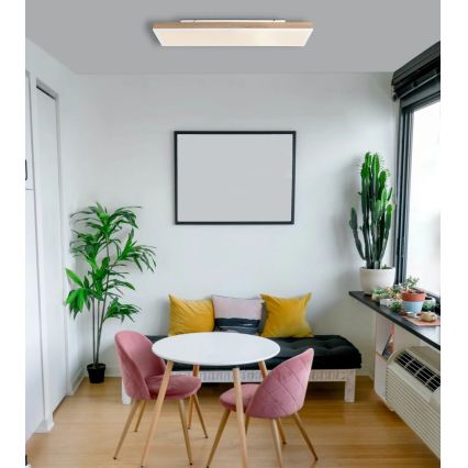 Globo - LED ściemnialna oprawa sufitowa LED/24W/230V 2700-6500K 20x80 cm + zdalne sterowanie