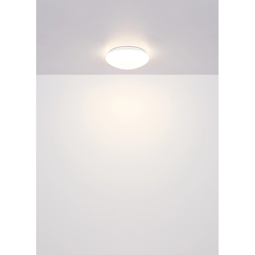 Globo - LED lampa sufitowa LED/12W/230V 4000K śr. 25,4 cm