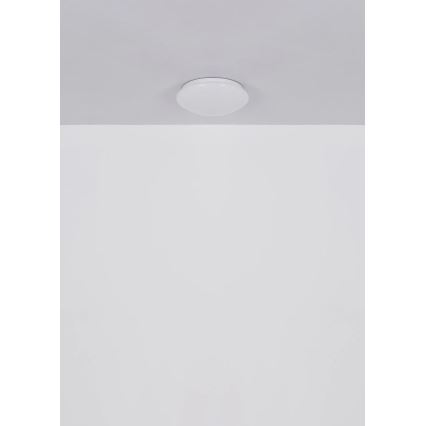 Globo - LED lampa sufitowa LED/12W/230V 4000K śr. 25,4 cm