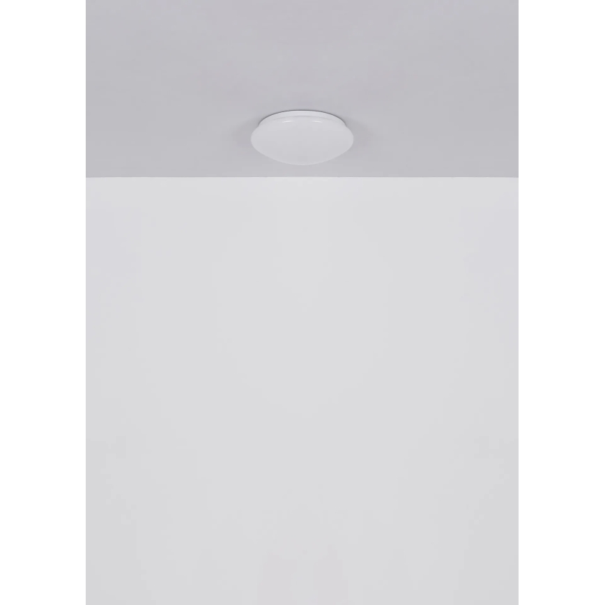 Globo - LED lampa sufitowa LED/12W/230V 4000K śr. 25,4 cm