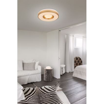 Globo - LED Plafon LED/24W/230V