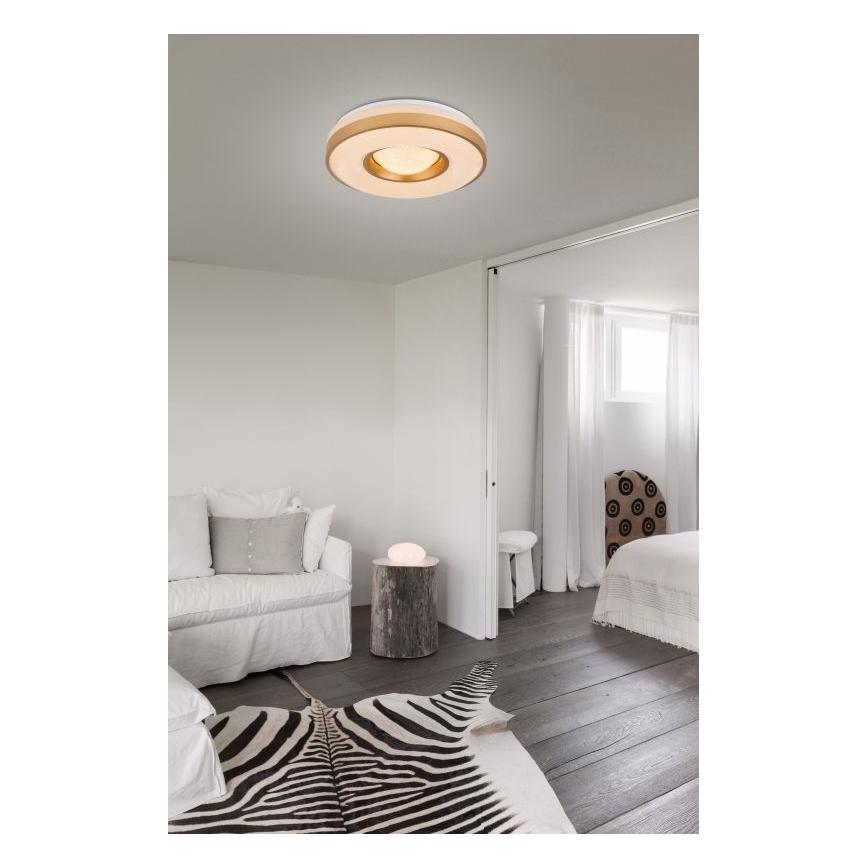 Globo - LED Plafon LED/24W/230V