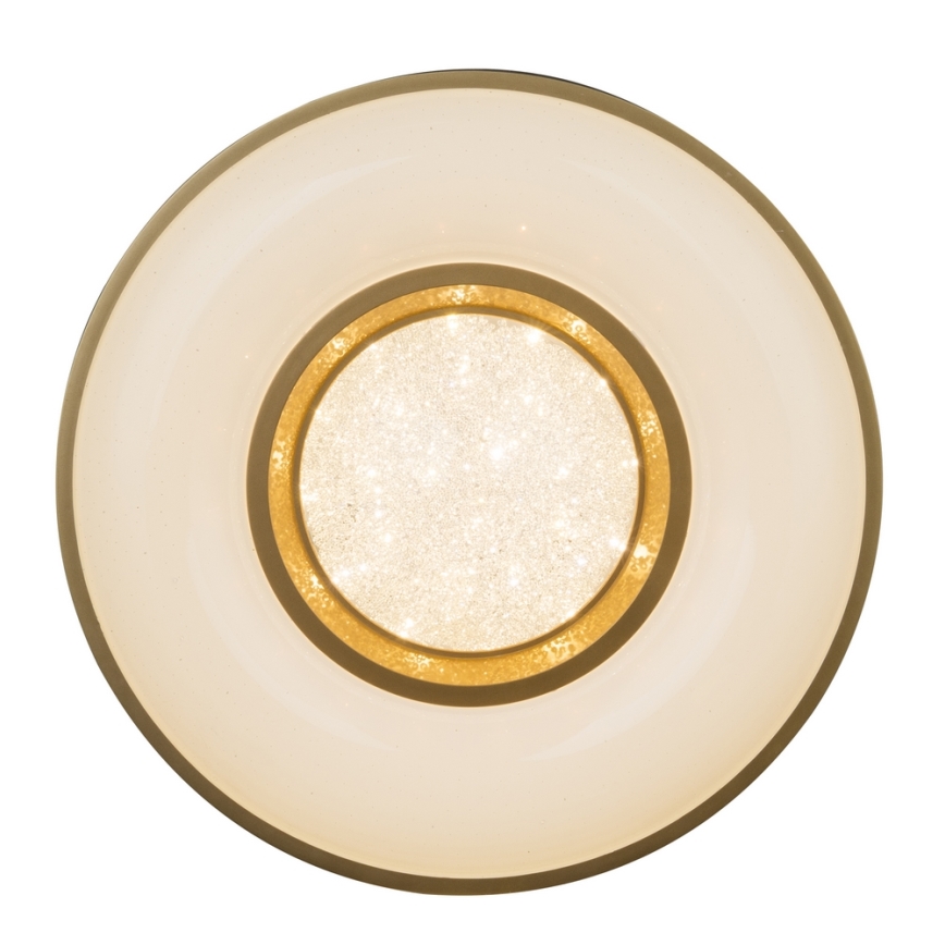 Globo - LED Plafon LED/24W/230V