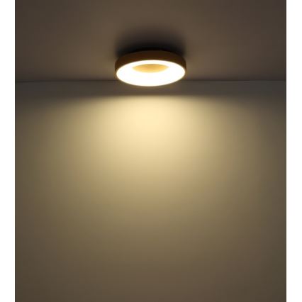 Globo - LED Plafon ściemnialny LED/30W/230V + pilot zdalnego sterowania