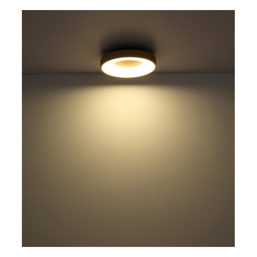 Globo - LED Plafon ściemnialny LED/30W/230V + pilot zdalnego sterowania