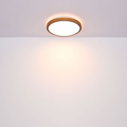 Globo  - LED Plafon LED/12W/230V 307 mm 3000/4500/6000K