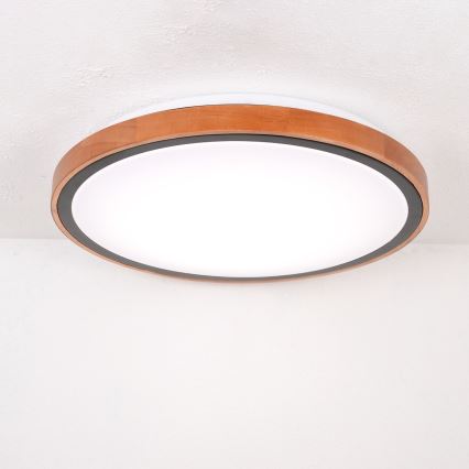 Globo - Lampa sufitowa LED/24W/230V 3000/4500/6000K śr. 43,7 cm