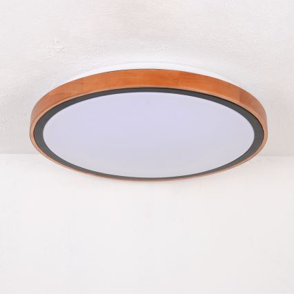 Globo - Lampa sufitowa LED/24W/230V 3000/4500/6000K śr. 43,7 cm