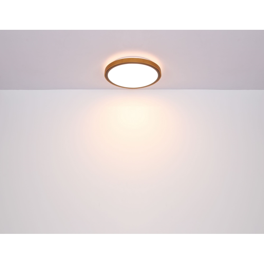 Globo - LED Plafon LED/12W/230V 3000/4500/6000K śr. 30 cm