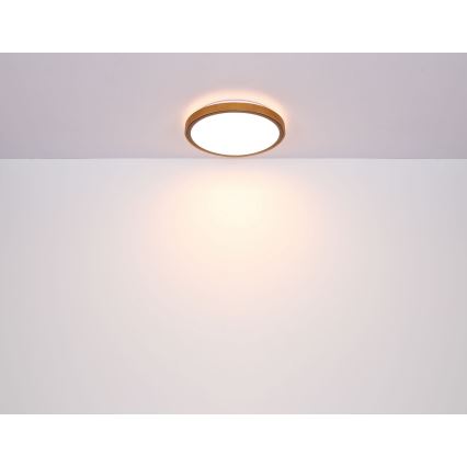 Globo - LED Plafon LED/12W/230V 3000/4500/6000K śr. 30 cm