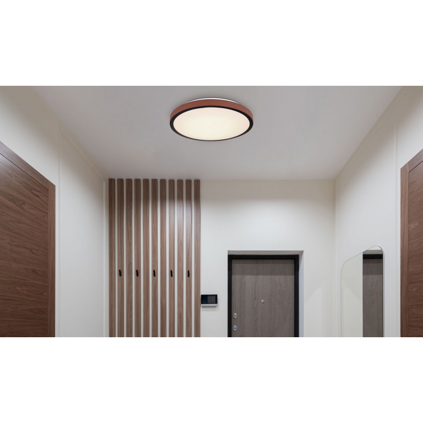 Globo - LED Plafon LED/24W/230V 3000/4500/6000K śr. 42 cm
