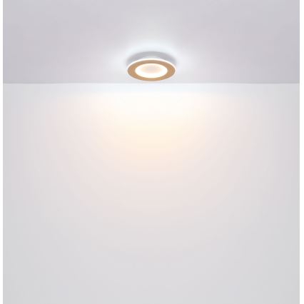 Globo - LED Plafon LED/23W/230V 2700/6500K