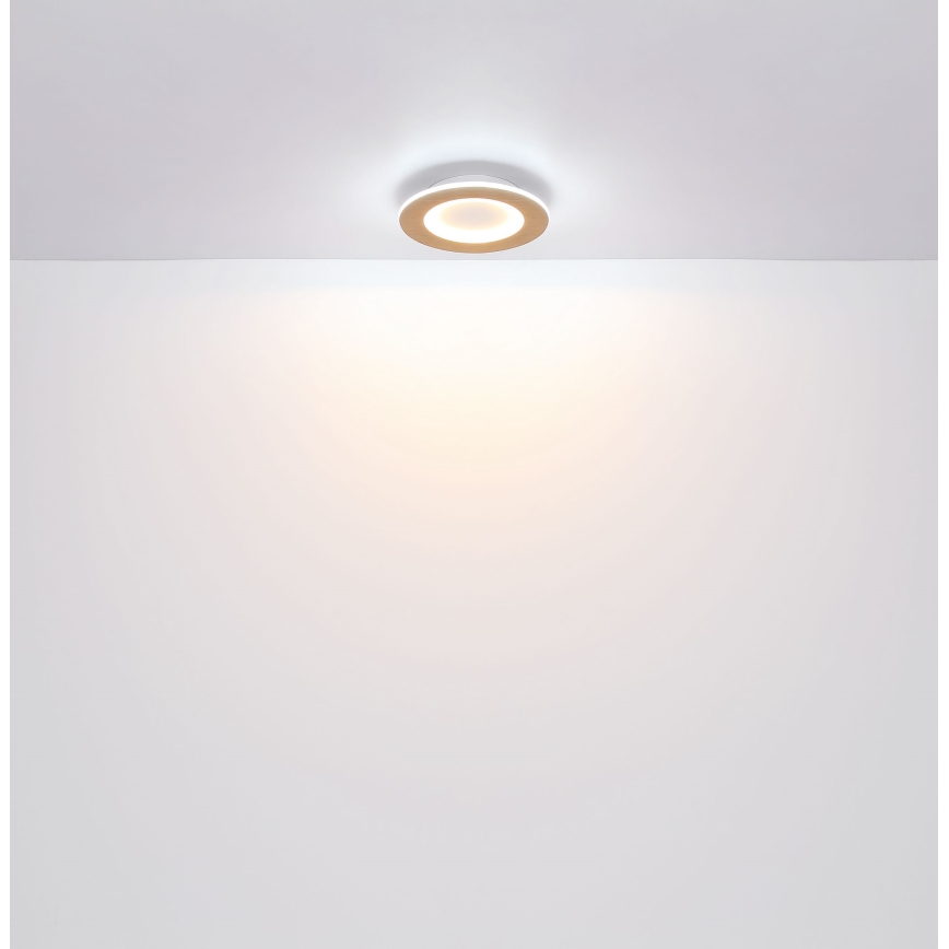 Globo - LED Plafon LED/23W/230V 2700/6500K