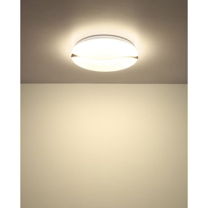 Globo - LED Plafon LED/24W/230V 3000/4200/6000K śr. 33 cm