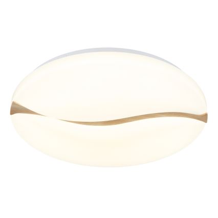 Globo - LED Plafon LED/24W/230V 3000/4200/6000K śr. 33 cm