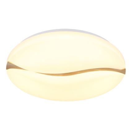 Globo - LED Plafon LED/24W/230V 3000/4200/6000K śr. 33 cm