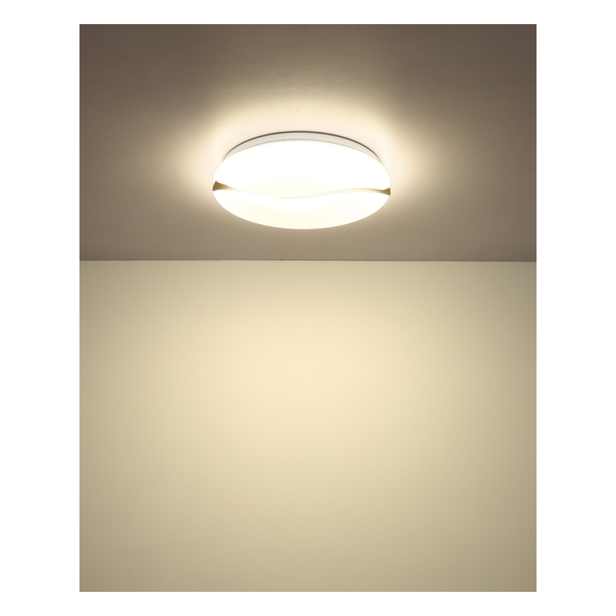 Globo - LED Plafon LED/24W/230V 3000/4200/6000K śr. 39 cm