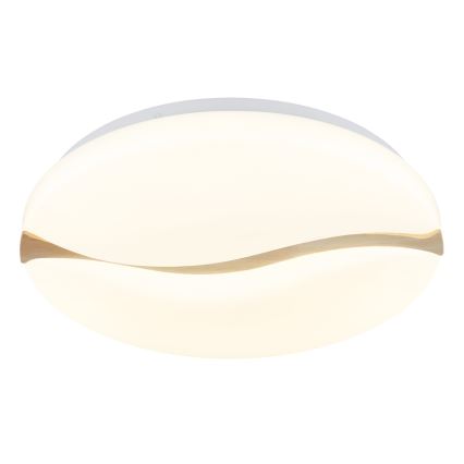 Globo - LED Plafon LED/24W/230V 3000/4200/6000K śr. 39 cm