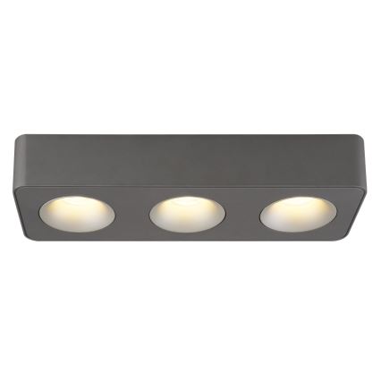 Globo - LED Plafon LED/14W/230V 11,7x33,2 cm