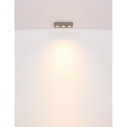 Globo - LED Plafon LED/14W/230V 11,7x33,2 cm