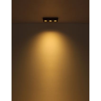 Globo - LED Plafon LED/14W/230V 11,7x33,2 cm