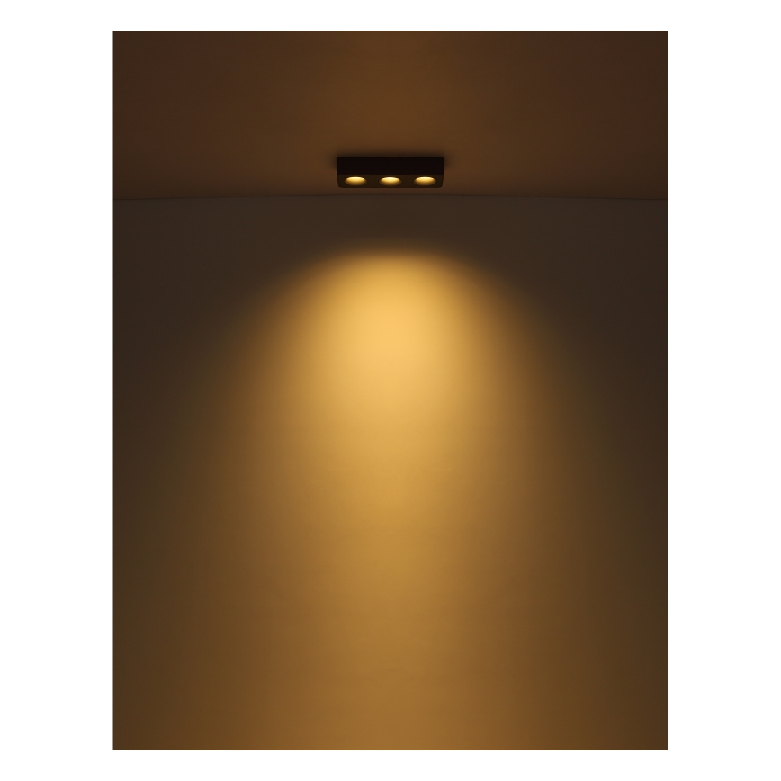 Globo - LED Plafon LED/14W/230V 11,7x33,2 cm