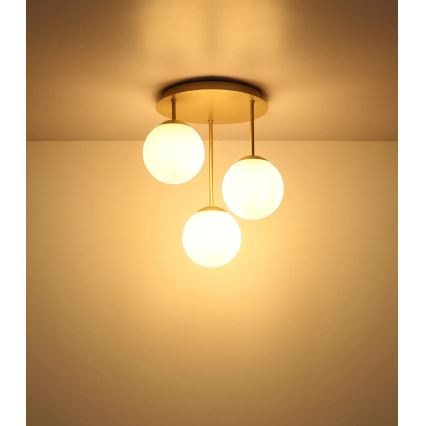 Globo - Przysufitowy żyrandol 3xE14/25W/230V mosiądz
