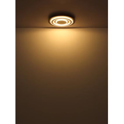 Globo - LED Plafon LED/24W/230V 3000K śr. 32 cm antracyt