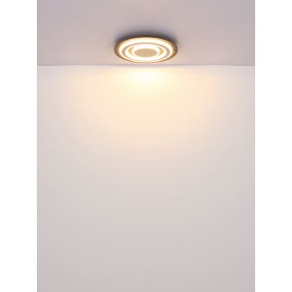 Globo - LED Plafon LED/24W/230V 3000K śr. 32 cm