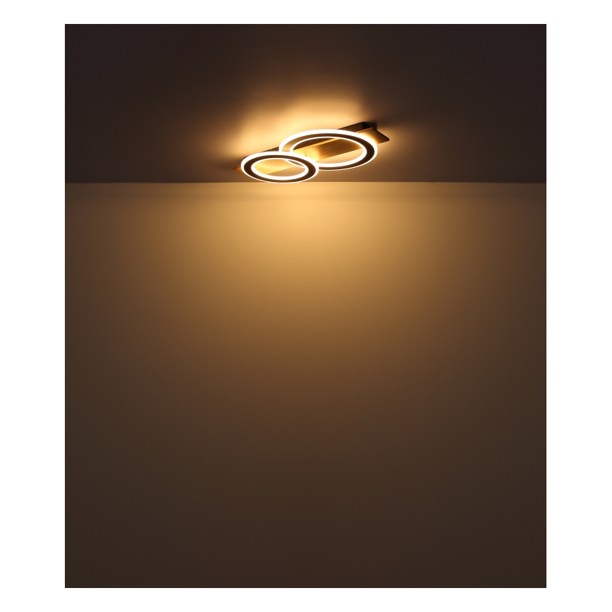 Globo - LED Plafon LED/40W/230V 3000K 35x63 cm