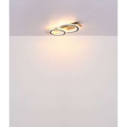 Globo - LED Plafon LED/40W/230V 3000K 35x63 cm
