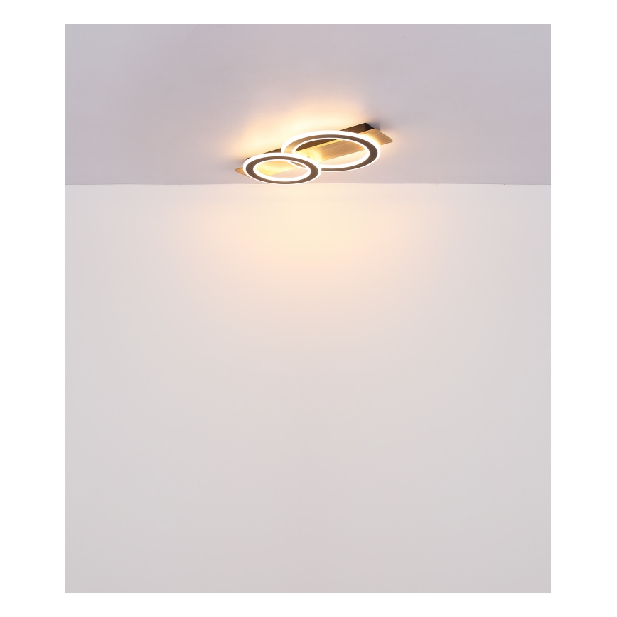 Globo - LED Plafon LED/40W/230V 3000K 35x63 cm