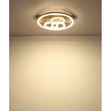 Globo - LED Ściemnialna oprawa sufitowa LED/40W/230V 2700-6500K śr. 35x33 cm beżowa + pilot zdalnego sterowania
