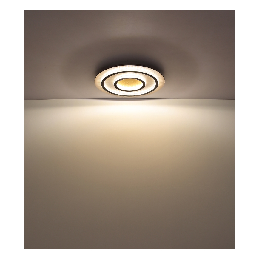 Globo - ściemnialna lampa sufitowa LED/60W/230V 3000-6500K śr. 55 cm czarna + pilot zdalnego sterowania