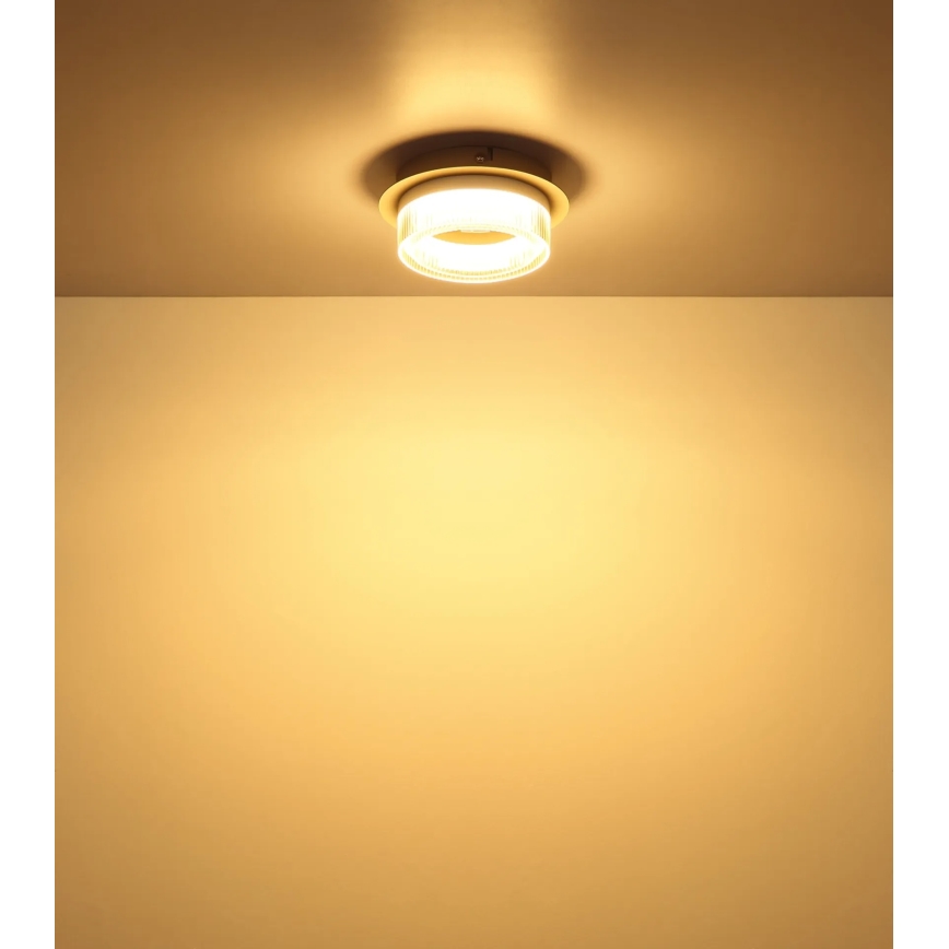 Globo - Plafon LED/8W/230V 3000K śr. 16 cm