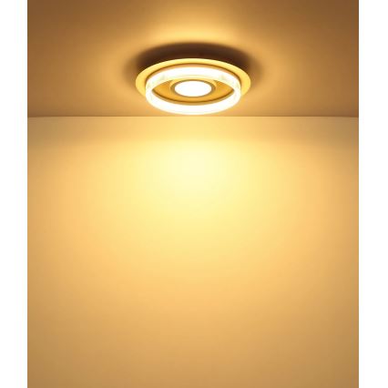 Globo - Lampa sufitowa LED/24W/230V 3000K śr. 40 cm