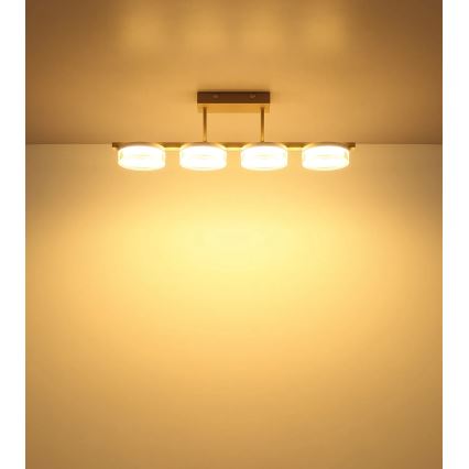 Globo - LED Przysufitowy żyrandol LED/24W/230V 3000K