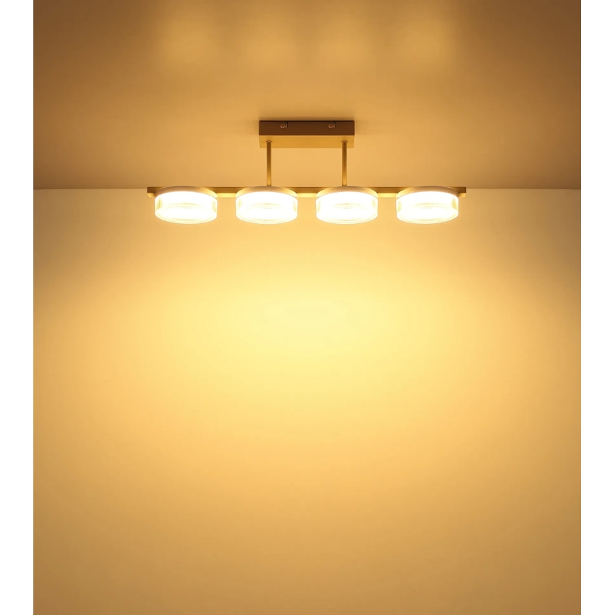 Globo - LED Przysufitowy żyrandol LED/24W/230V 3000K