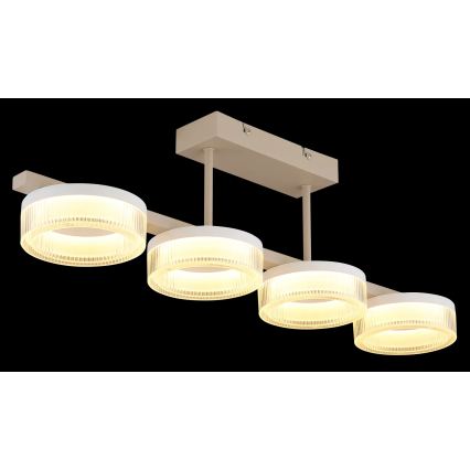 Globo - LED Przysufitowy żyrandol LED/24W/230V 3000K