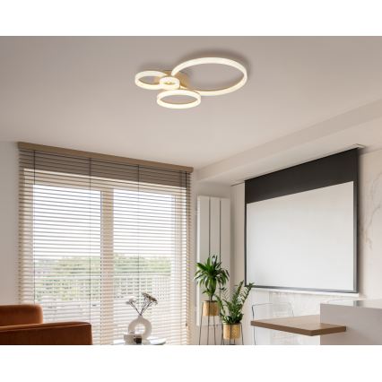 Globo - Plafon LED/40W/230V 3000K 64,5x75 cm