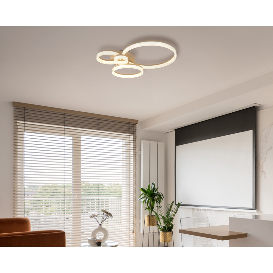 Globo - Plafon LED/40W/230V 3000K 64,5x75 cm