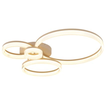 Globo - Plafon LED/40W/230V 3000K 64,5x75 cm