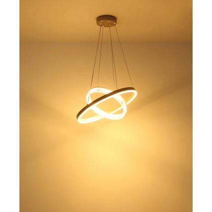 Globo - Żyrandol LED na linkę LED/30W/230V 3000K