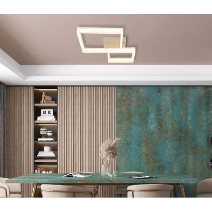 Globo - Lampa sufitowa LED/24W/230V 3000K 46,5x62,5 cm