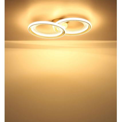 Globo - LED Oprawa sufitowa LED/30W/230V 3000K 31,5x52,5 cm