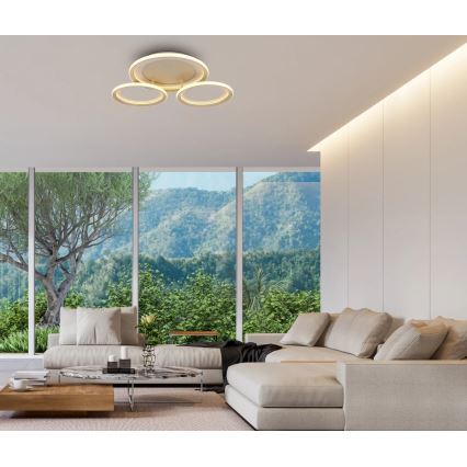 Globo - Lampa sufitowa LED/40W/230V 3000K 60,5x62,5 cm