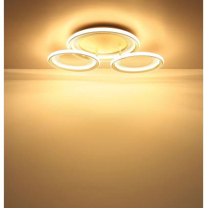 Globo - Lampa sufitowa LED/40W/230V 3000K 60,5x62,5 cm